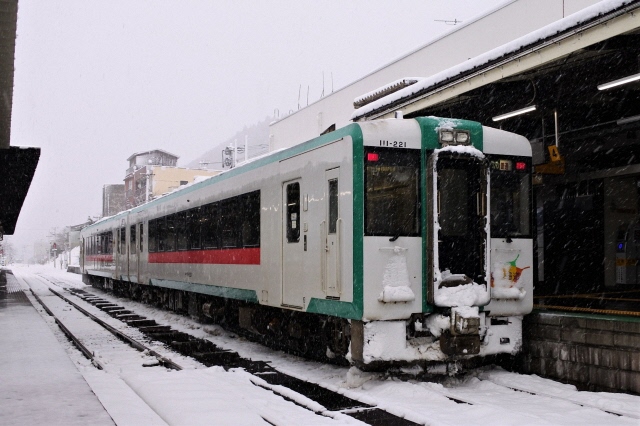 陸羽東線 キハ110系